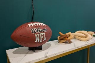 Fly Eagles Fly & Stay Philly Adventure - 3