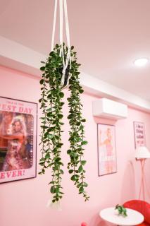 Live In Barbies Dream World! - 1