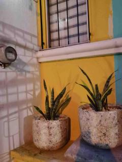 House near the airport - 2