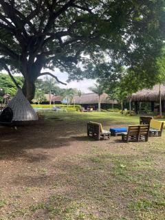 Paraiso de Rozo - Palmira - 9