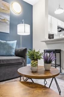 Cozy Retreat Near UT & Downtown - Austin - 7