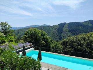La Bastide en Cévennes - Saint-Hilaire-de-Lavit - 5