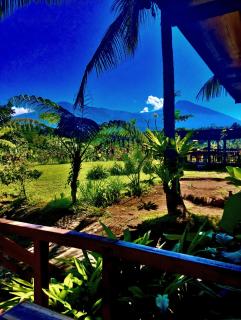 Girang Rinjani Bungalows - Tetebatu - 9