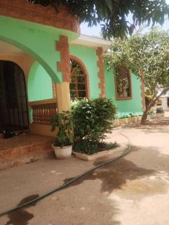 Afonta's Greenhouse Retreat - - 3