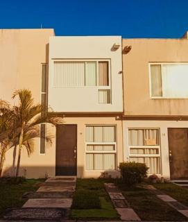 Tropical Dream - Veracruz - 7