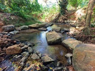 Lodge Galewela - - 9