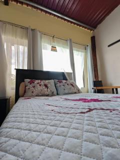 Tropical Crystal House - 7