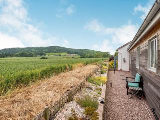 Violet Cottage - Credenhill - 1