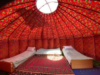 Aalam yurt camp Altyn-Arashan - Altynarasan - 6