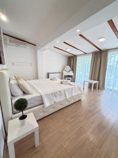 Private home with pool & beach, Vacation Near Center, Yard, BBQ, Mountain View, Free Parking - Belgrado - 2