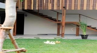 K-1 Modern Art Hotel @ Nan - Nan - 7