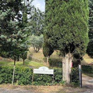 B&B Podere Cottimellino - Montalcino - Val d'Orcia - Montalcino - 0