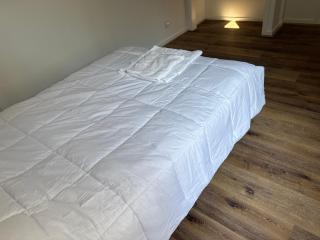 Chalcot - 4