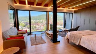 KITTERLELODGE Suite 1 à 4 personnes avec vue - Guebwiller - 9