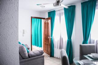 Comodo Departamento 1 Centro Historico - Cozy Apartment 1 Downtown - San Luis Potosí - 7