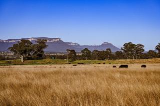 Myalla Farm, leave the world behind - Glen Alice - 3