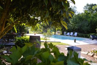 COUP DE CŒUR - Piscine & Vignes - Près d'Albi et Cordes - 9