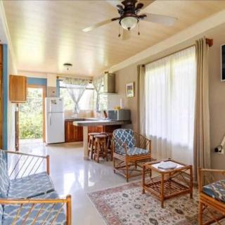 Villa Arenal Dreams - Palma - 3
