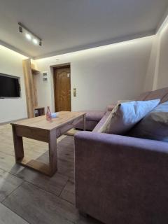 Apartament AMETYST - Zastań - 5