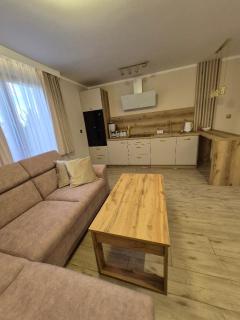 Apartament AMETYST - Zastań - 4
