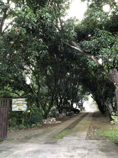 Bernice's Place - Pulilan - 8