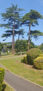 Plage et Golf ! - Houlgate - 8