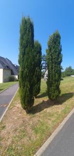 Plage et Golf ! - Houlgate - 9