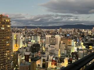 Dotonbori View Luxury Penthouse - Osaka - 8
