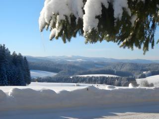 Willmannshof - Furtwangen im Schwarzwald - 4