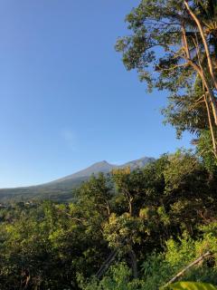 Helda Harista Homestay & Cottages - Senaru - 9