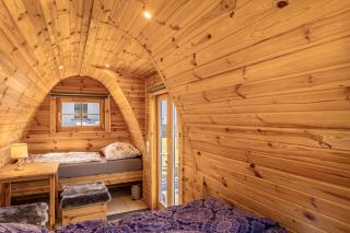 Campingpod Auf Der Alpakawiese - Arnsberg - 1