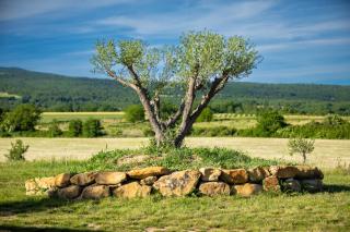 Le Sommet de la Tour, Vue, Calme et Chevaux - Les Jacons - 2