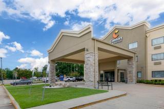 Comfort Inn & Suites Covington - Mandeville - Covington - 8