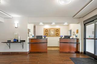Comfort Inn & Suites Covington - Mandeville - Covington - 5