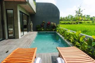 Sava Villa Ubud Rice Fields View - Tegalalang - 0
