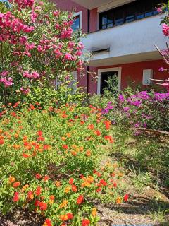Alla Villa - - 9