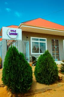 Nale Lavender - Iringa - 0