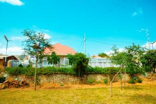 Nale Lavender - Iringa - 2