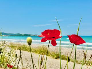 Beachfront Villa Calypso with private pool - Acharavi - 6