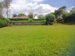 Pottersville Gardens - - 4