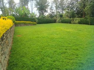 Pottersville Gardens - - 8