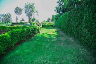 Pottersville Gardens - - 7