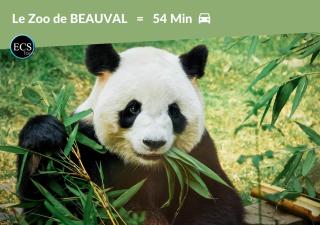 #2 - Central Tours VERT - Hypercentre - 1