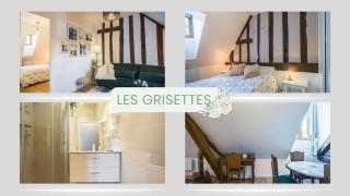 Les Grisettes -Charme et Histoire -Prox Cathédrale - Troyes - 9