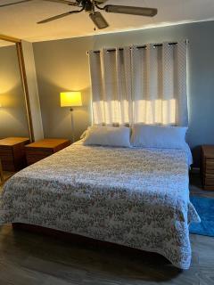 Quiet 2BDRM Home in Pahrump - Pahrump - 1