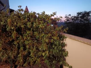 Cuore di toscana - Colle Val D'Elsa - 9