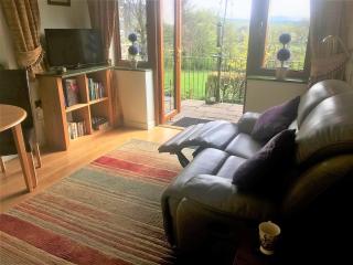 1 Bed in Tregaron 43288 - Tregaron - 4
