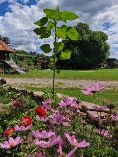 Urlaub auf dem Rittergut Friedeburg - Gerbstedt - 5