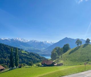 Apartment Panorama - Heiligenschwendi - 9