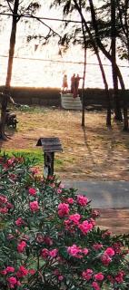 Relax inn cherai beach - 1